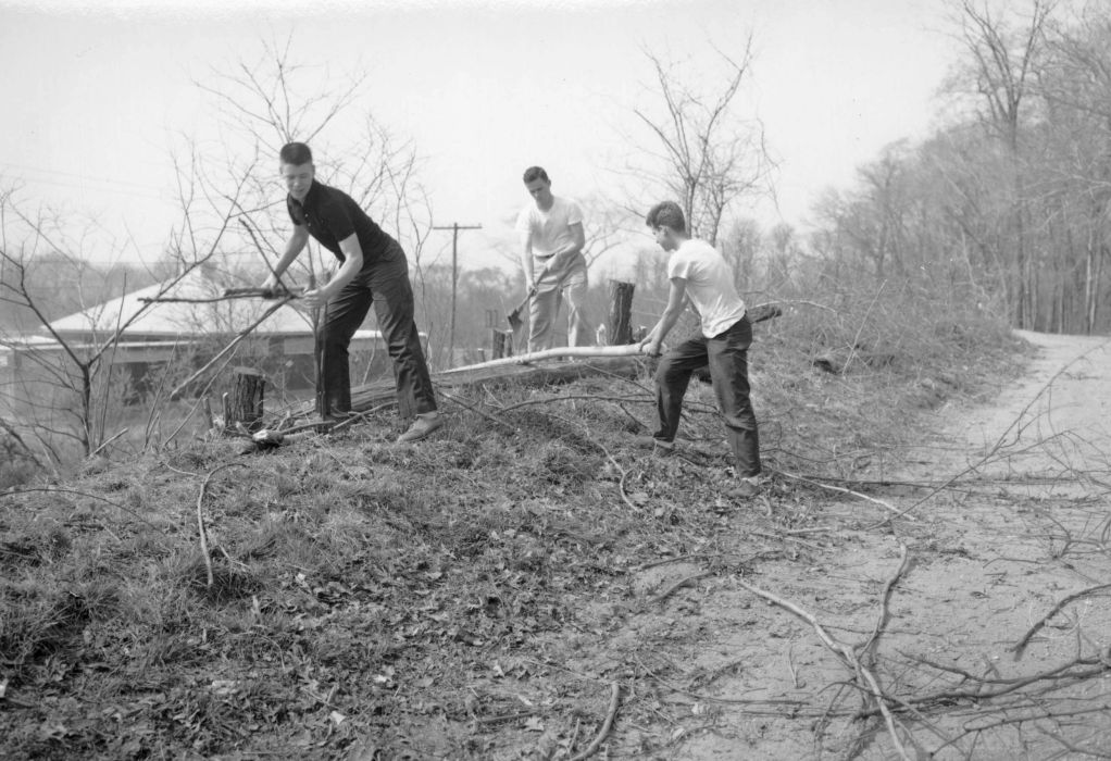 Boy Scouts Clearing Brush